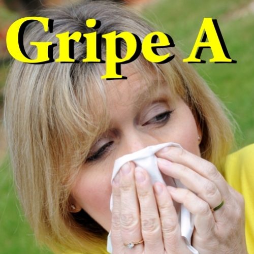 Para entender a influenza: perguntas e respostas